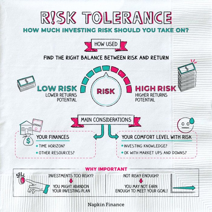 Risk tolerance napkin napkinfinance v03