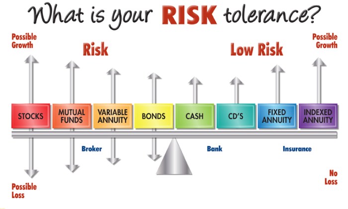 Risk tolerance level based ability investing select right
